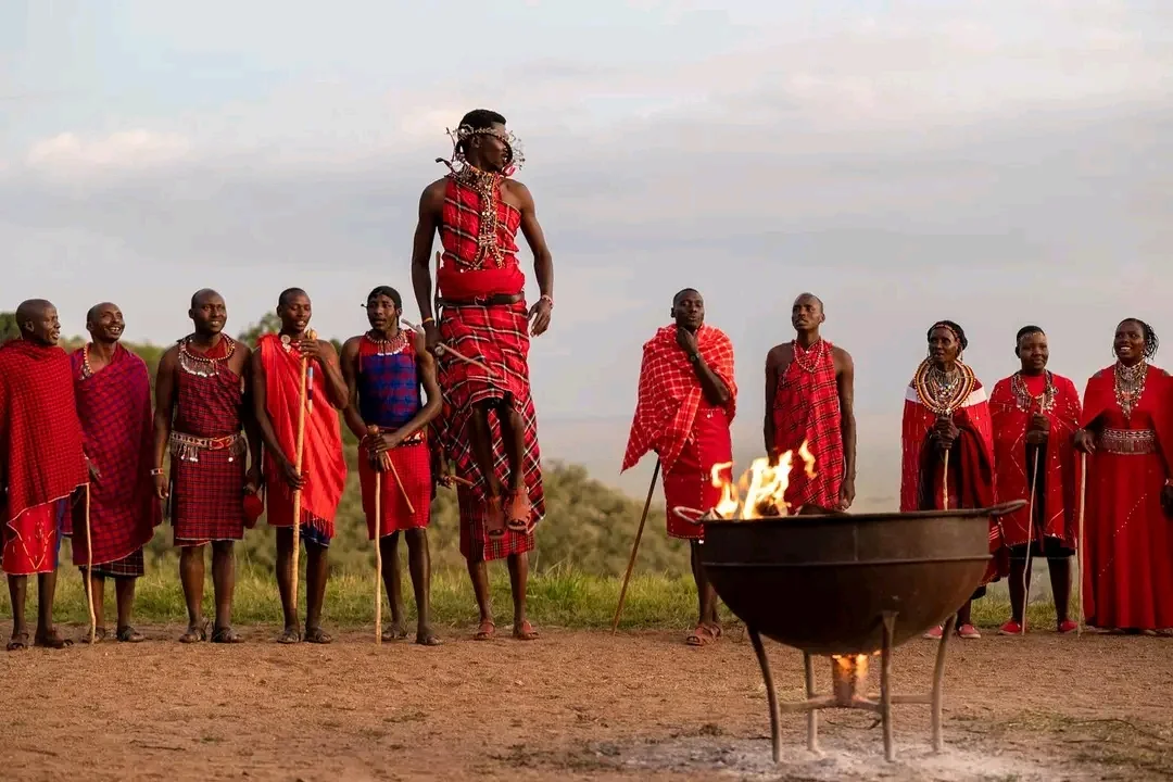 Jimmy Wild Safaris (9)